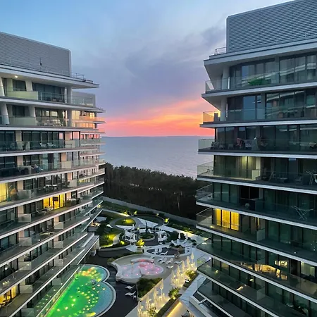 Wave * 米兹多洛杰